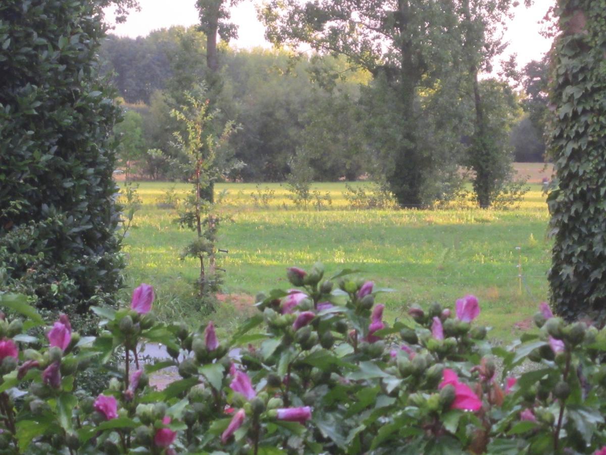 Domaine De La Fontaine Bed and Breakfast Chavagne Eksteriør billede