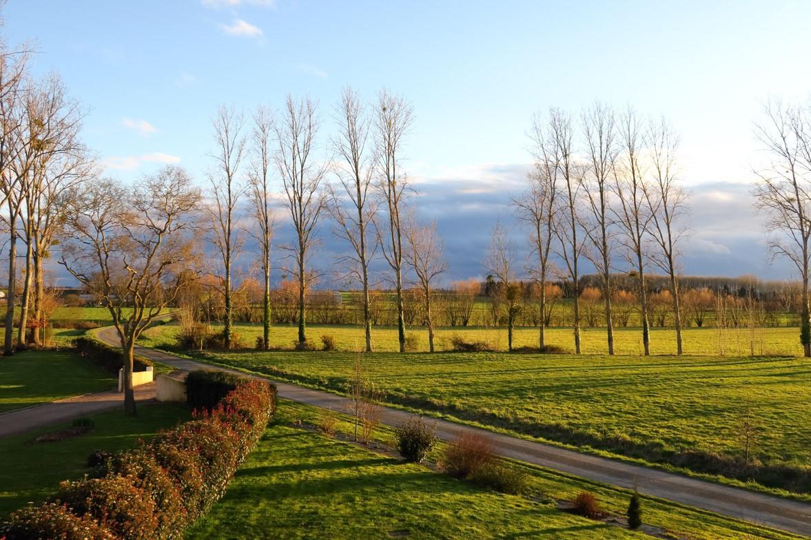 Domaine De La Fontaine Bed and Breakfast Chavagne Eksteriør billede